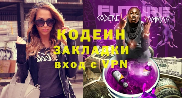 индика Бронницы