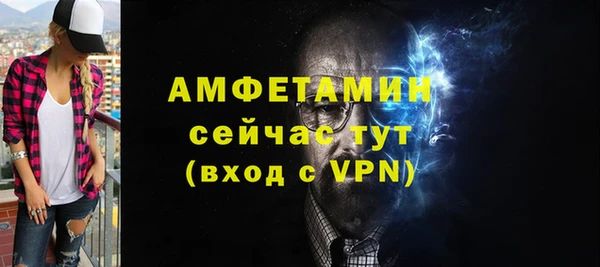 индика Бронницы