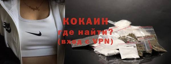 индика Бронницы