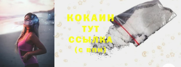 индика Бронницы