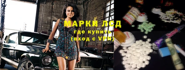 индика Бронницы
